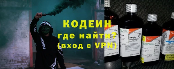 ГАЛЛЮЦИНОГЕННЫЕ ГРИБЫ Корсаков