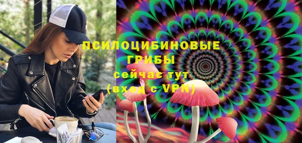 ГАЛЛЮЦИНОГЕННЫЕ ГРИБЫ Корсаков