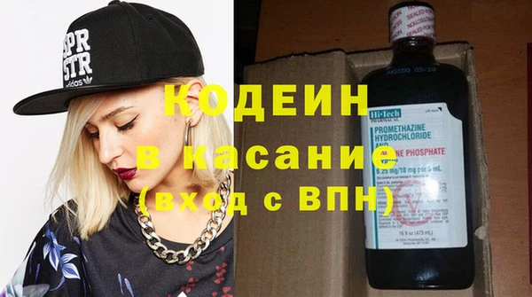 ГАЛЛЮЦИНОГЕННЫЕ ГРИБЫ Корсаков