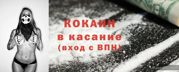 ГАЛЛЮЦИНОГЕННЫЕ ГРИБЫ Корсаков