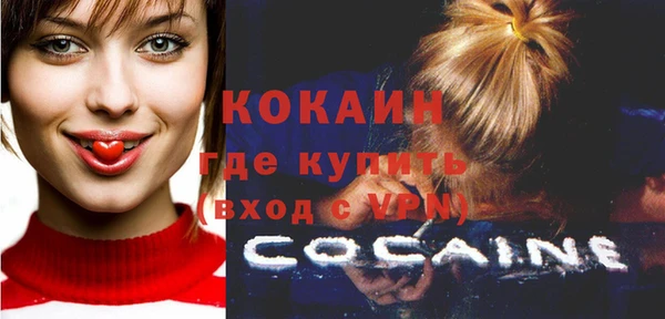 ГАЛЛЮЦИНОГЕННЫЕ ГРИБЫ Корсаков