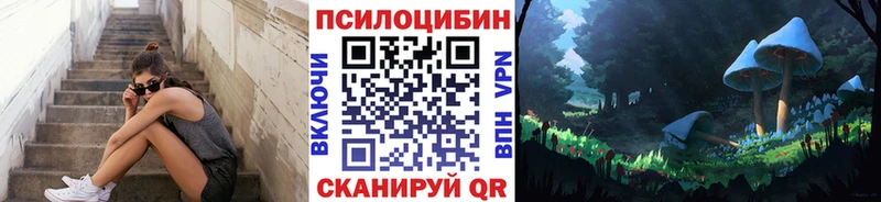 Купить закладки  Луза  Псилоцибиновые грибы мухоморы 